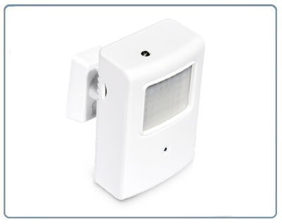 Охранная IP WiFi-LAN видеокамера с ночным видением и аудиоканалом (корпус ИК датчика), встроенный DVR. HD (Pro Ezcam)