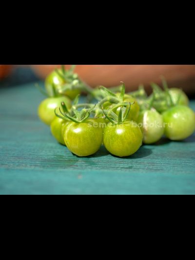 Томат Green Doctors Frosted (Грин Доктор Фростед), 10 шт