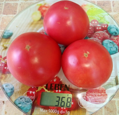Томат Демидов