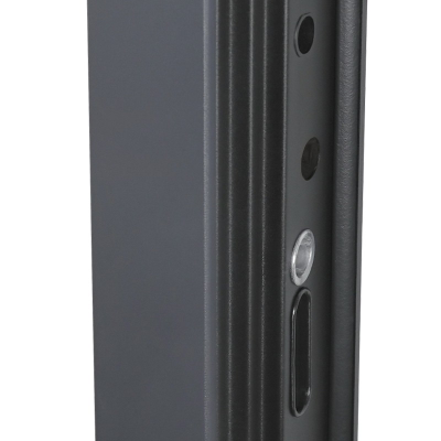 Стальная дверь   Forest с зеркалом