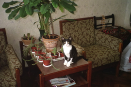 Сладков М К "Позирую"