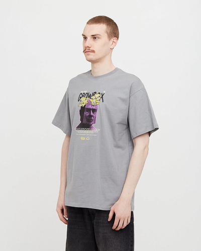 Футболка Оверсайз Anteater Tee 322 Серая