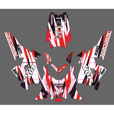 POLARIS RMK - 2009-2015 #1318