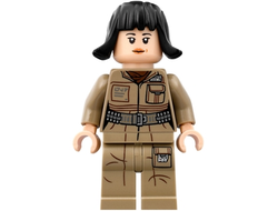 Rose Tico, n/a (sw0857)