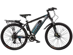 ВЕЛОГИБРИДЫ TSINOVA