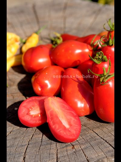 Томат Джуаджито (Guajito), 7 шт