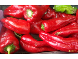 Перец сладкий Дольче Итальяно