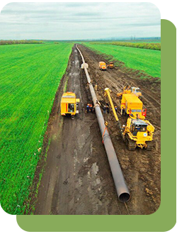 Травосмеси для рекультивации