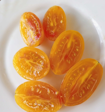 Томат Счастливый тигр (Artisan Lucky Tiger)