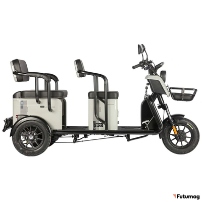 Электротрицикл Wanshida LC300 60V 1000Вт серый