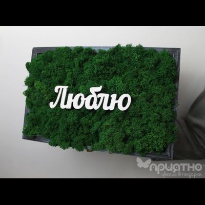 ЖИВАЯ ЭКО-КАРТИНА 1056