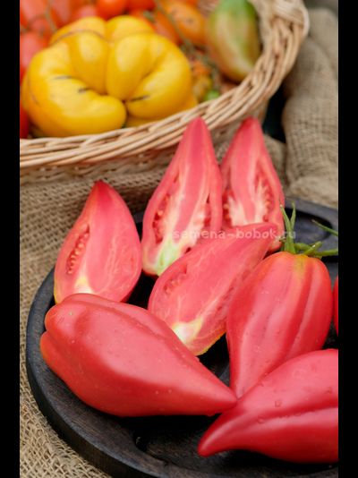 Томат Тюльпан Розовый, 5 шт