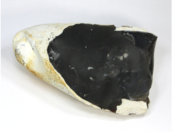 Кремень черный в светлой природной корочке, необработанный "дикий" образец, Россия (100*65*40 мм, 285 г) №21532