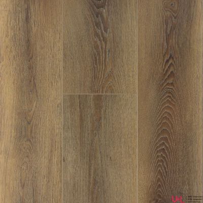 SPC ламинат First Floor Коричневый Дикий Лес 1F005