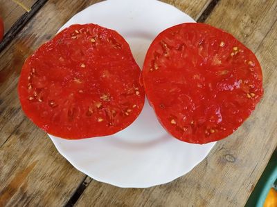 Томат Канадский великан