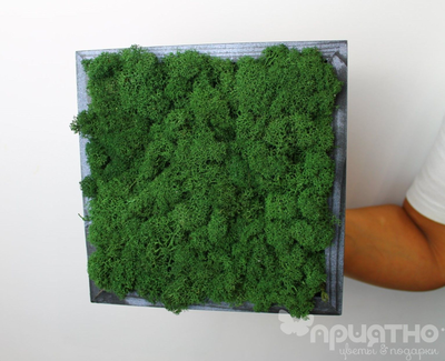 ЖИВАЯ ЭКО-КАРТИНА 1065