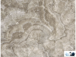 Керамогранит Belani Velvet GP бежевый 50 x 50 см под мрамор купить магазин Marysя Краснодар