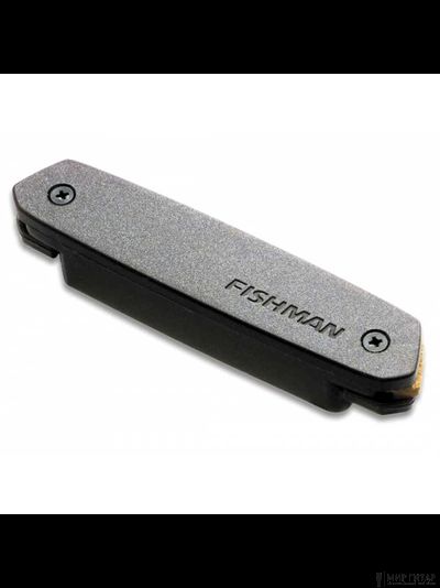 Fishman PRO-NEO-D01 Neo-D