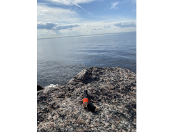 Духи НОТА: ЮНАЯ КОЖА, 2.5 мл