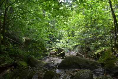 Экскурсия на теплоходе до Кольцовских пещер