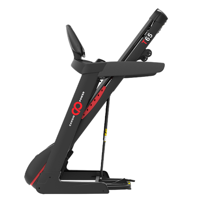 Беговая дорожка CardioPower T65