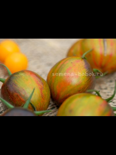 Томат Atomic Fusion (Атомный Сплав), 10 шт