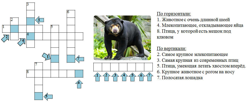 Кроссворд про зверей. Кроссворд про животных. Кроссворд про животных с ответами. Кроссворды для детей про животных с ответами и вопросами.