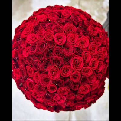 Роза Россия 60 см 201 шт