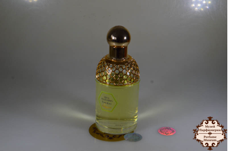 Guerlain Aqua Allegoria Tutti Kiwi (Герлен Аква Аллегория Тутти Киви) limited edition 2005 edt 75ml