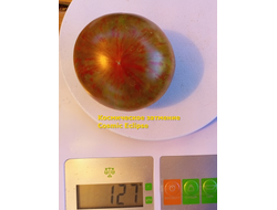 Томат Космическое затмение (Cosmic Eclipse)