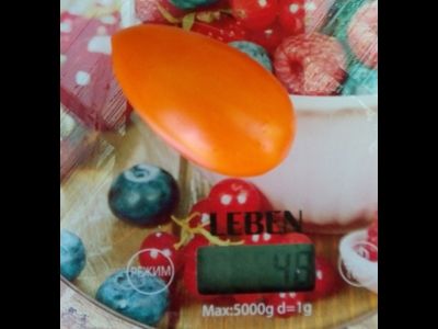 Томат Елисей