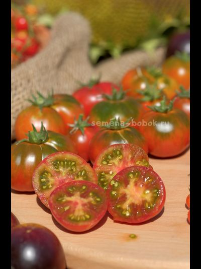 Томат Dwarf Pite Wiper (Гном Пит Вайпер), 10 шт