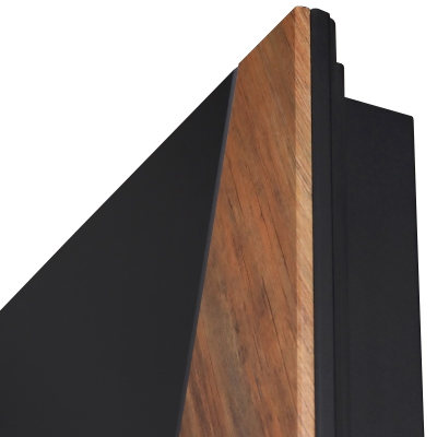 Стальная дверь   Plata с зеркалом (биометрический замок Smart lock DZ 888)