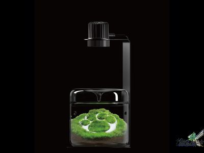 Лампа Biolark TF-03 для чаши Лудзи MY-120/120H и Пузырь.