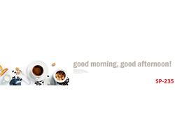 SP-235 Глянцевая стеновая панель ALBICO  2800*610*6мм.