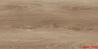 Ель европейская 33 класс