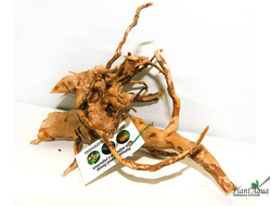 Коряга ПУСТЫННАЯ M (20-30 см)