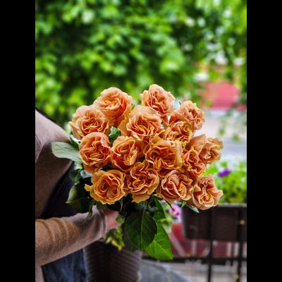 Роза Эквадор 70 см 15 шт