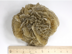 Гипс, "Гипсовая роза", крупный сросток кристаллов, Россия, Ставропольский край (75*70*39 мм, 164 г) №29344