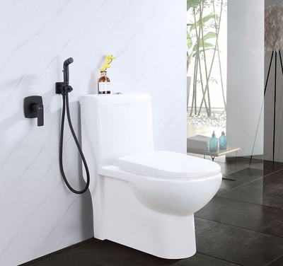 Смеситель с гигиеническим душем Ursus LM7219BL, скрытого монтажа