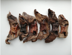 Носы говяжьи неочищенные сушеные, 1 шт