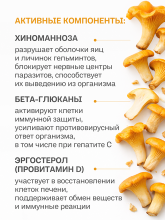 Экстракт лисички для внутреннего применения 100 гр.