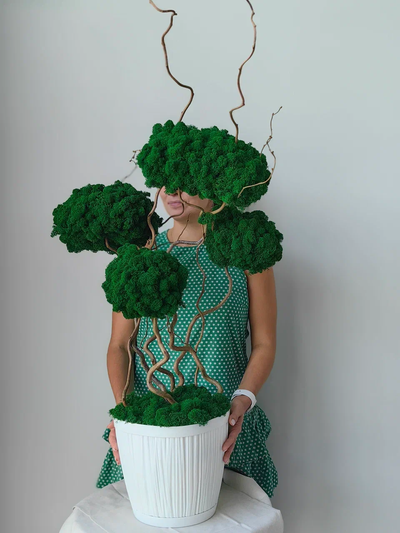 Живая эко-композиция 1002