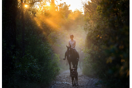 Конная прогулка по окрестностям Дубровника на пол дня