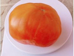 Томат Жёлто розовый жемчуг (Pearl's Yellow Pink, США)