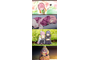 ffewv7v2qqoggkoos808go8okogs00.png