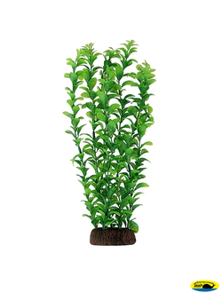 Ар1260 5576Р Растен. пласт.55см. зелен.Людвигия
