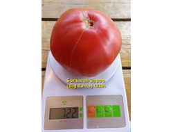 Томат  Бигзарро (Bigzarro), США