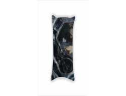 Дакимакура Fallout, Фоллаут №7