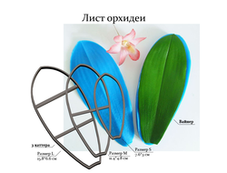 " Лист орхидеи фаленопсис" вайнер и каттер